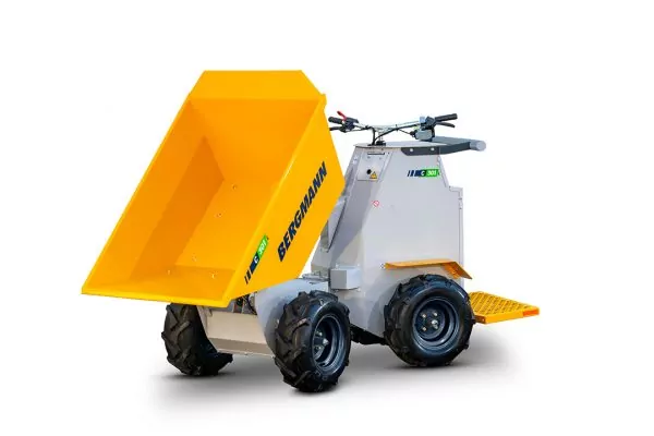 Bergmann C301L