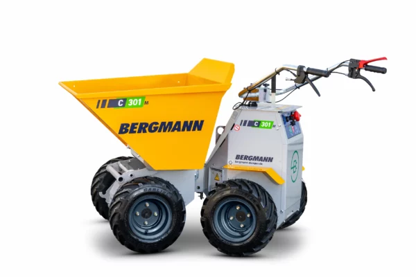 Bergmann C301M