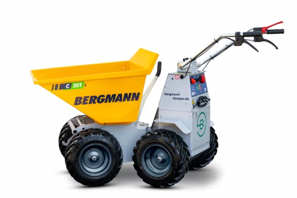 Bergmann C301S