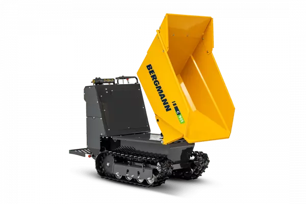 Bergmann C901