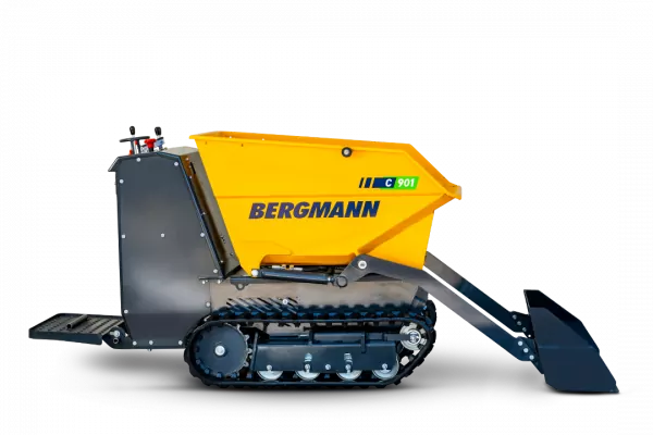 Bergmann C901