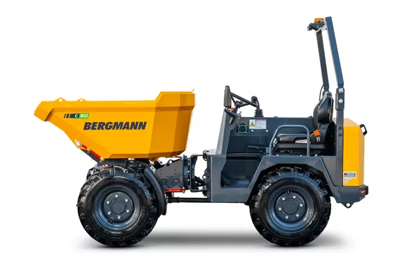 Rental 3